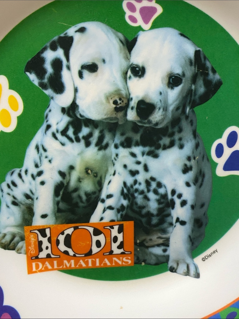 Disney 101 Dalmatians Kids Dog Bowl - Blue, Green, Purple, Orange - Picture 2 of 4